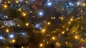 Close-up view of Christmas tree branches decorated with glowing LED fairy lights in warm yellow and cool blue tones. Festive holiday background with bokeh lights, cozy atmosphere, winter celebration, New Year and Christmas decoration concept. Horizontal composition, no people. - Powered by Shutterstock - Get 15% off with code: PIKWIZARD15