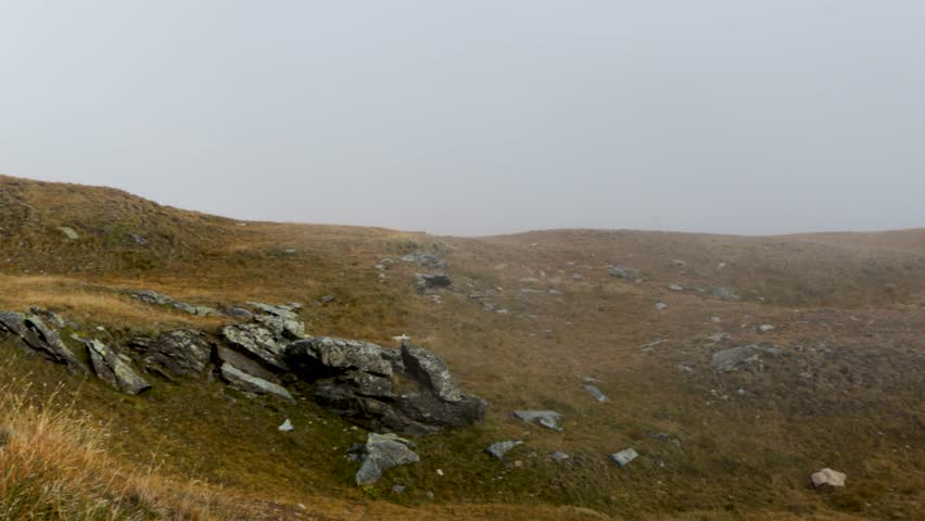 Alpine swiss mountain slope in fall covered in fog
