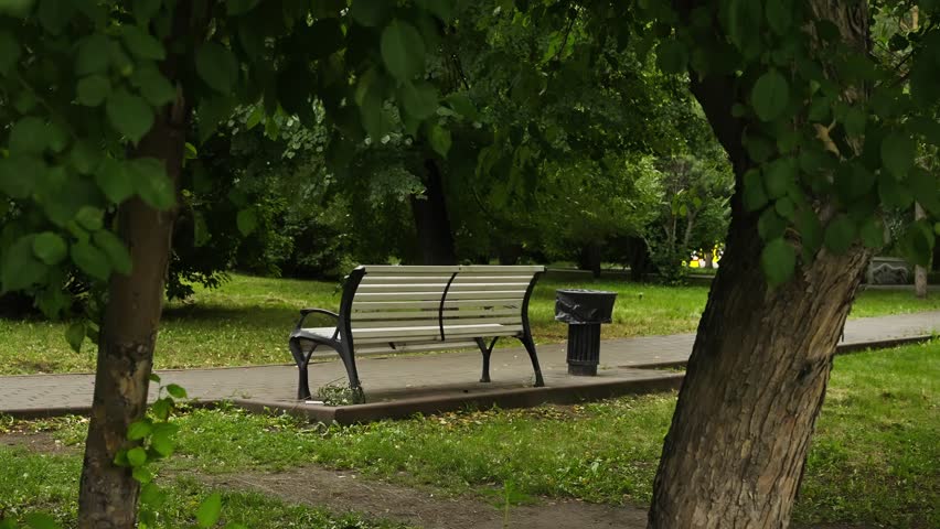 Tranquil park scene with an empty bench beneath a leafy canopy beside a pathway and trashcan, framed by tree trunks and vibrant summer greenery in soft daylight