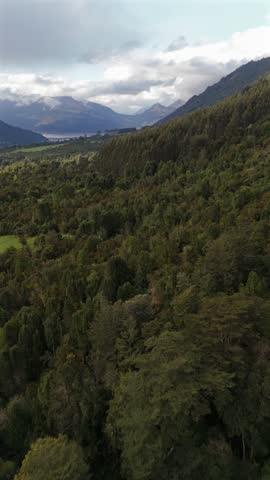 Vertical Drone Parallax View Over Forest Canopy Toward Fjord and Mountains Chile