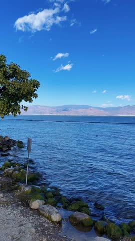 Vertical timelapse video capturing white cumulus clouds moving fast across a clear blue sky over a calm lake. The scene features a rocky shoreline with green moss and a tree in the foreground, with majestic mountains in the distance. Beautiful summer nature landscape at Qionghai Lake, Sichuan, China. 4K vertical footage.