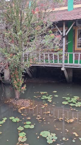 Scenic view of a traditional wooden gazebo and bamboo walkway over a calm lily pond in a lush garden during daytime, showcasing rustic architecture and peaceful outdoor atmosphere.