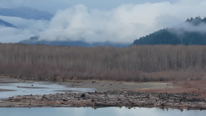 Serene River Landscape in British Columbia, Canada with Misty Mountains and Winter Forest