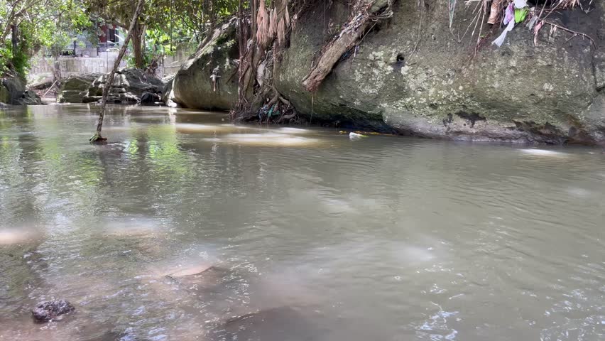 Wild River Rapids with White Water and Rocks