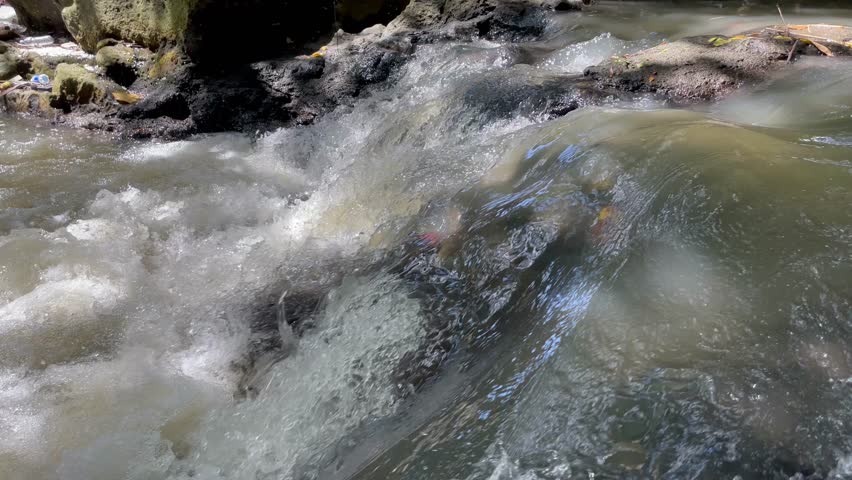 Wild River Rapids with White Water and Rocks