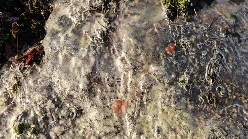 A thin stream of water flows beneath the layer of ice that has formed on a rock.