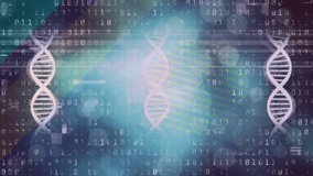 Animation of dna over binary code and brain on navy background. Science, human biology and anatomy concept digitally generated video. - Powered by Shutterstock - Get 15% off with code: PIKWIZARD15