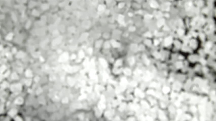 Super slow motion falling sea salt . Filmed on a high-speed camera at 1000 fps. High quality FullHD footage