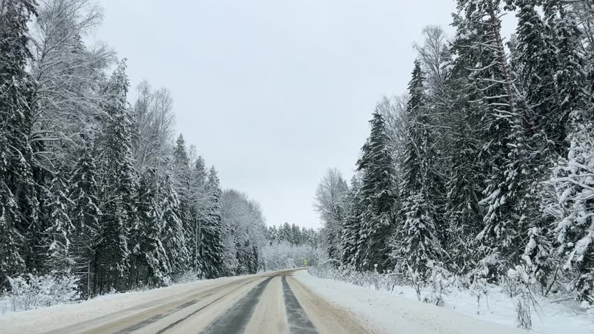 Front view driving plate on empty snowy road curving through snow covered forest under overcast sky