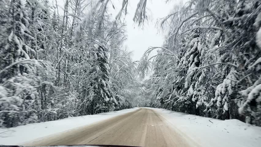 Front view driving plate on empty snowy road curving through snow covered forest under overcast sky