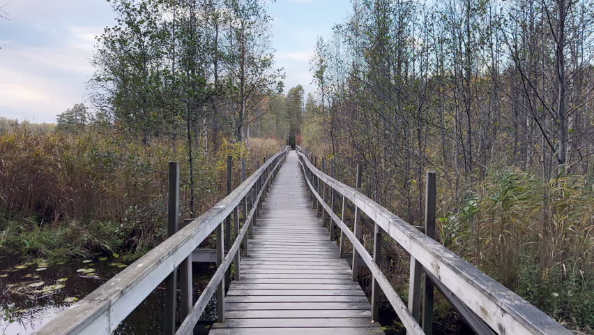 Forest and nature at autumn in Sweden. Wooden bridge and lake.