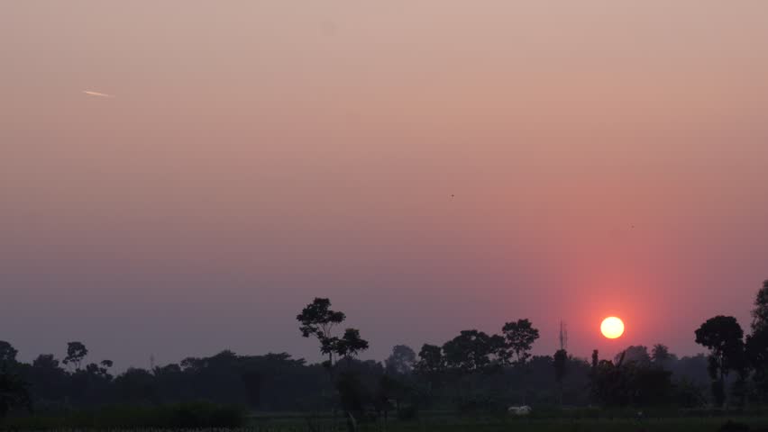 Sunset Over Rural Field with Tree Silhouettes