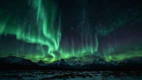 Breathtaking cinematic view of the Aurora Borealis (Northern Lights) dancing over a snow-capped mountain range and a frozen lake at night. Realistic digital art style with vibrant green and purple light trails reflecting on the icy water.  - Powered by Shutterstock - Get 15% off with code: PIKWIZARD15