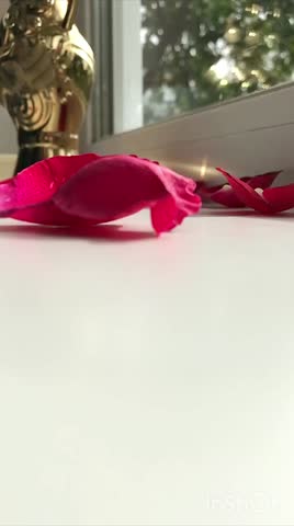 Red rose petals falling in slow motion behind vase