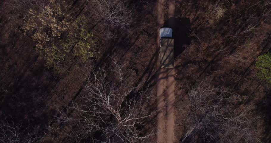 Aerial view of a solitary truck winding its way through a dense forest, showcasing the contrast between the vehicle and the natural surroundings, Lugenda, Niassa Province, Mozambique.