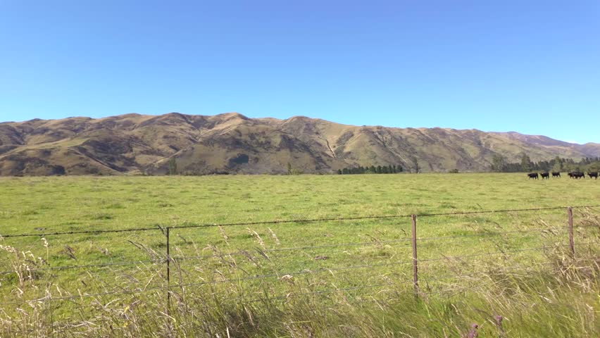 A wide open farmland scene shows green grass, wire fencing, and a group of black cattle, with beautiful mountain ranges forming a scenic rural backdrop.