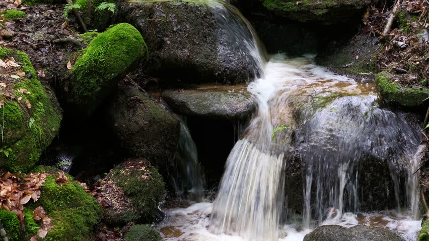 mountain stream running through rocks covered with moss in the spring forest. Highest detail. Live sound.