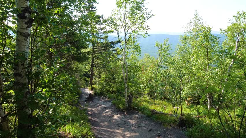 A scenic view along a winding dirt trail through a lush, green forest in the Southern Urals region of Russia on a bright, sunny day. The path leads the eye towards a panoramic vista of distant, hazy b