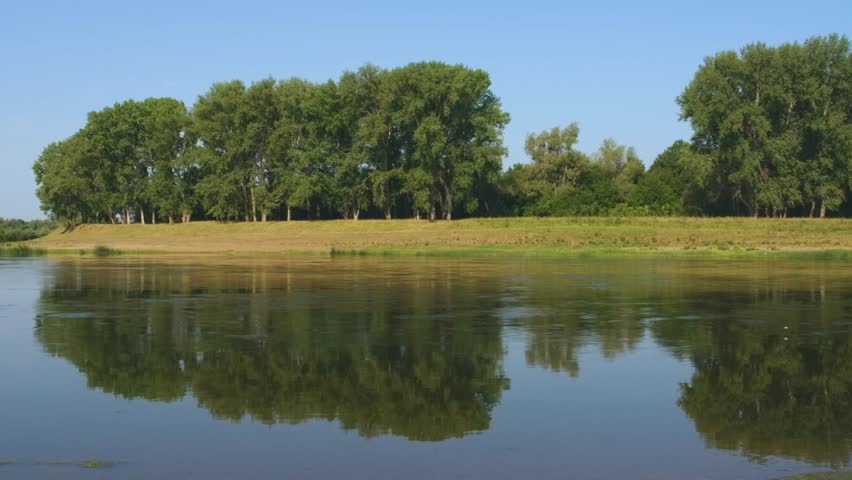 A tranquil natural landscape featuring the bank of a wide river, possibly the Elbe or a similar European waterway, lined with dense green trees. The clear blue sky and the vibrant foliage are perfectl