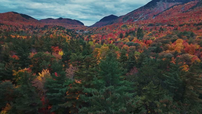 Adirondack Mountain, New York State. Aerial view of autumn forest with mountains in the background, showcasing a vibrant mix of red, orange, and yellow foliage.