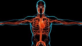 Futuristic Human Anatomy with Neural Network - Powered by Shutterstock - Get 15% off with code: PIKWIZARD15