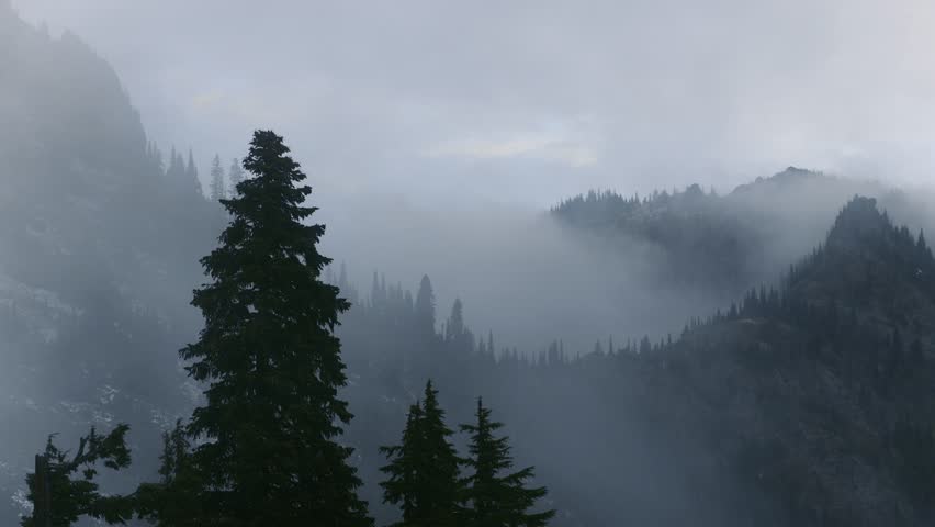 Scenic dreamy landscape of mist and fog over the mountains at Mt Rainier national park in Washington state.