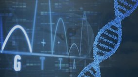 Animation of data processing over dna strand. Global business and digital interface concept digitally generated video. - Powered by Shutterstock - Get 15% off with code: PIKWIZARD15