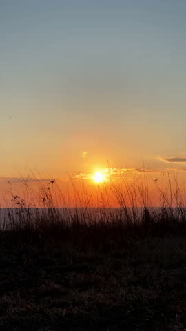 Golden hour sunset over a grassy meadow field