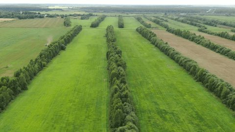 Aerial Sideways Drone Flight above Farmland