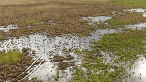 Hovering Drone Filming Cranes Marshland