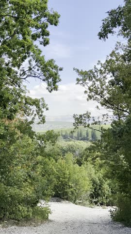 view from the mountains on the vineyards and village