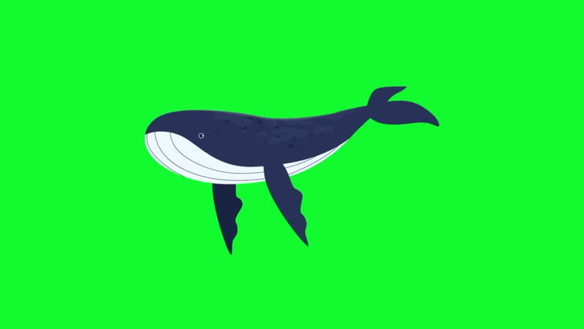 animation of whale swimming on green background