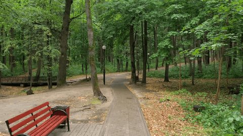 Forward Drone Flight through Wooded Park