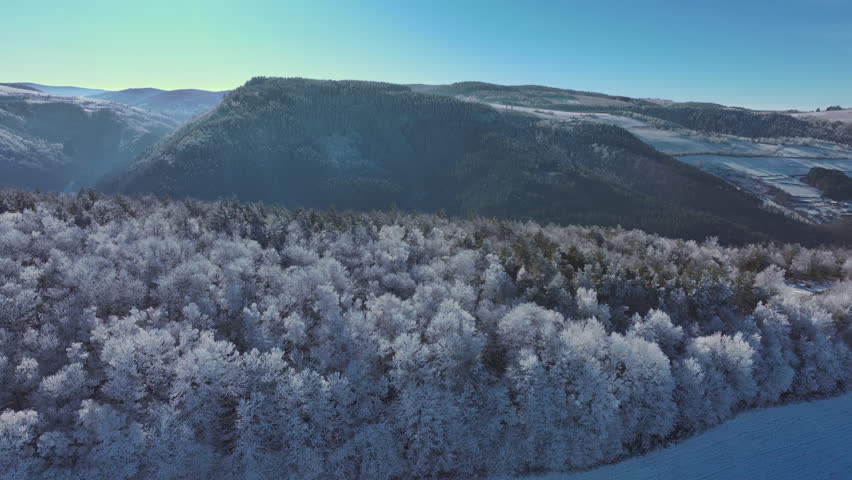 Aerial view of winter forest landscape with frost-covered trees and rolling hills. Seasonal nature background.
