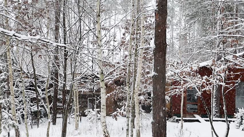 a country house in a snowy pine forest