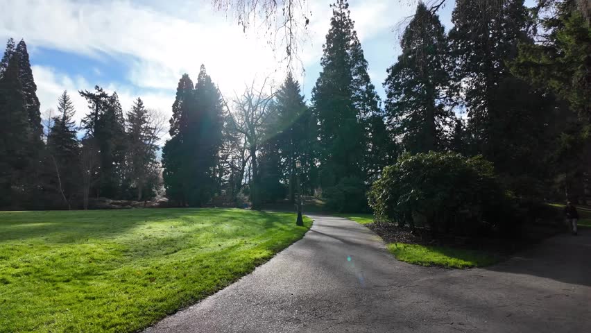 4K smooth motion video footage of peaceful nature scenes in Laurelhurst Park in Portland Oregon USA. The footage features tall trees, winding walking paths, open grassy areas, and little greenery in a calm urban park setting. Captured in winter, using a pocket camera with gimbal stabilization, the movement is steady and cinematic, creating a relaxing and natural visual flow. Ideal for concepts related to nature, relaxation, urban green spaces, outdoor recreation, mindfulness, environmental themes, lifestyle visuals, scenic backgrounds, travel content, marketing media, presentation backdrops, and professional motion footage showing quiet city park life.