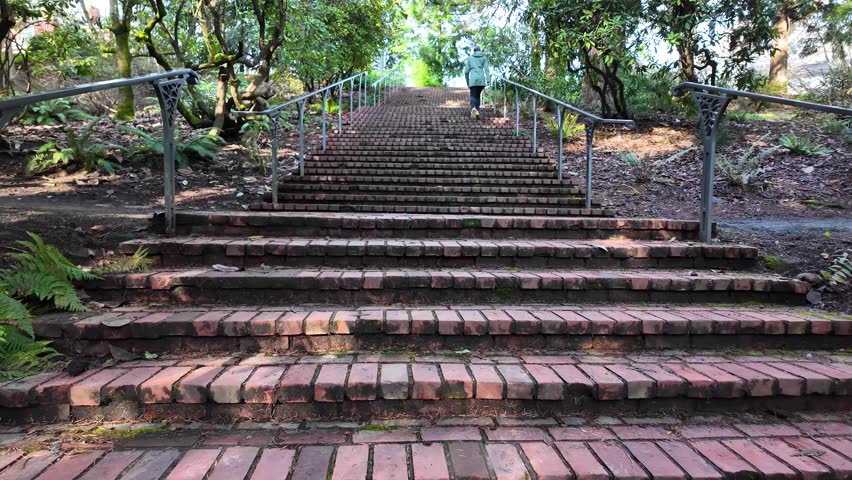 4K smooth stabilized video footage of people walking up a brick staircase along a forested park trail in Portland Oregon USA. The scene shows handrails, moss covered steps, trees, and greenery as people move upward through the park, creating a natural urban lifestyle moment. Captured with a pocket camera and gimbal stabilization, the motion is steady and cinematic. Ideal for concepts related to daily life, outdoor activity, walking, exercise, urban parks, healthy lifestyle, recreation, city nature, background footage, marketing media, presentation visuals, and modern lifestyle storytelling.