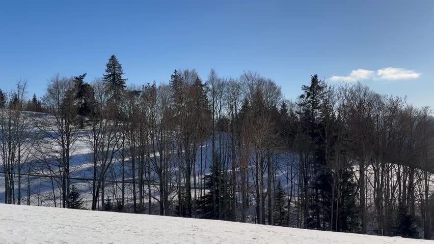 Panorama of snow-capped mountains and forest with a field in Switzerland.