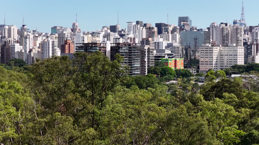Ibirapuera Park In Sao Paulo Brazil. Recreation Park. Highrise Buildings. Beautiful Skyline. Ibirapuera Park In Sao Paulo Brazil. Wonders Of Sao Paulo Landmark. Recreation Park.
