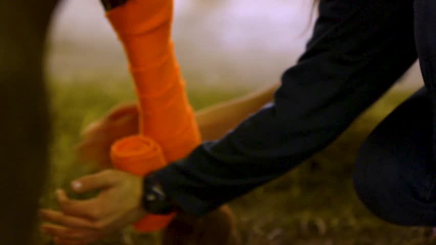 woman wrapping a horses legs