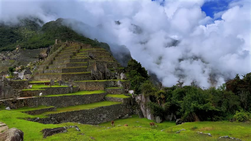 Machu Picchu highlands Llamas Alpaca wildlife tourist circuit landscape sunny fog cloudy morning Peru Perú rainy season Peruvian Andes terrace layers Inca Temple Sanctuary lush green jungle static