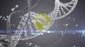 Animation of dna, globe and data processing on grey background. science, human genome, data processing and technology concept digitally generated video. - Powered by Shutterstock - Get 15% off with code: PIKWIZARD15
