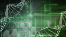 Animation of data processing over dna strands. Global science and digital interface concept digitally generated video. - Powered by Shutterstock - Get 15% off with code: PIKWIZARD15