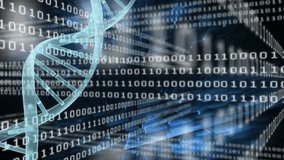 Animation of binary coding and spinning dna structure over blue square shapes on black background. Medical research science and business interface technology concept - Powered by Shutterstock - Get 15% off with code: PIKWIZARD15