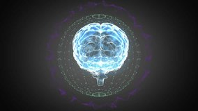 Animation of globe and connections with data processing over human brain. Global science, networks, computing and data processing concept digitally generated video. - Powered by Shutterstock - Get 15% off with code: PIKWIZARD15