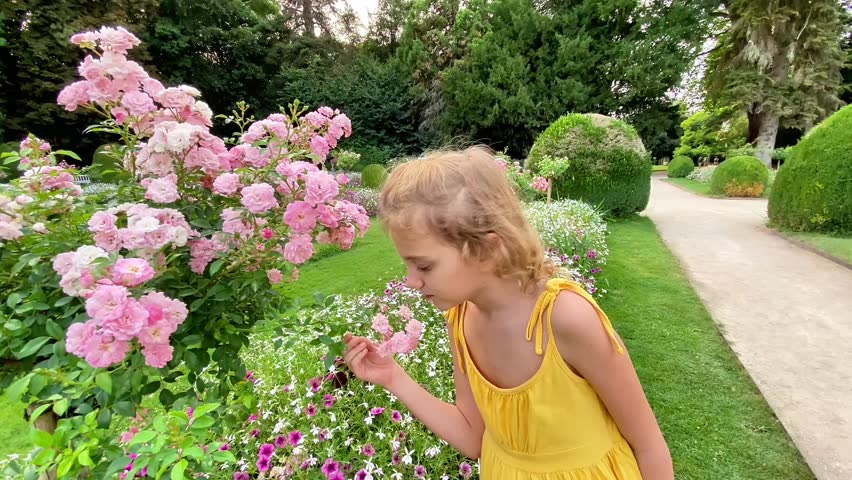 Young girl in a yellow dress smelling pink roses in a beautiful blooming garden during summertime.