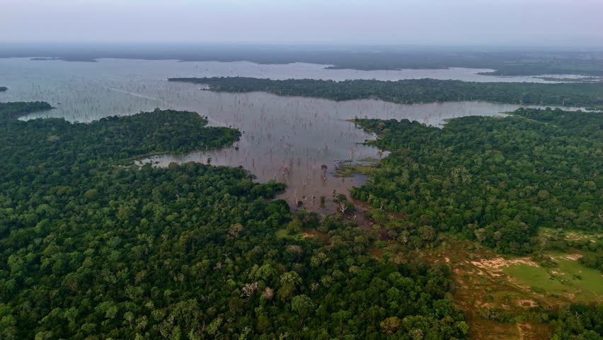 Aerial view of Weheragala Reservoir in Sri Lanka, with flooded treetops and dense green jungle surrounding the wide, calm water surface under a hazy sky.