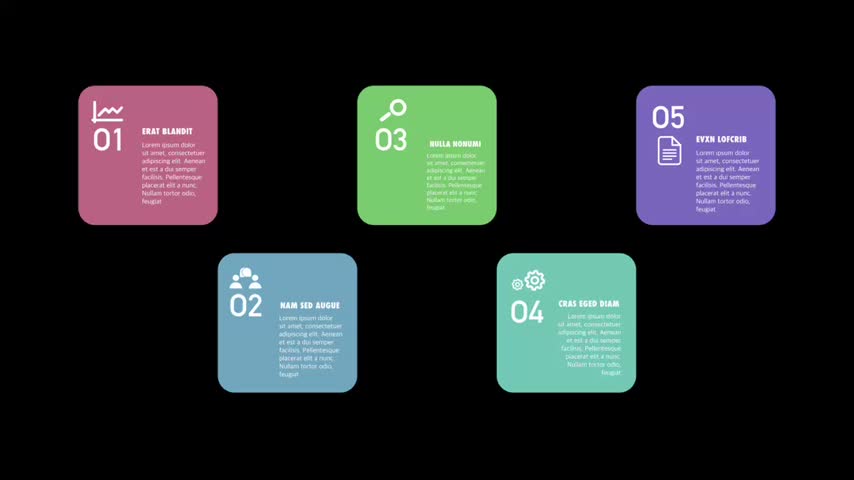 Colorful Infographic Elements Presentation Animation