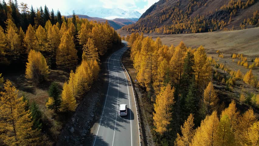 White Van Winding Through Golden Trees, Adventure Guide Vehicle Crossing Mountain Pass Remote Wilderness Mood, Rugged Ridge Backdrop, Cinematic Aerial Sweep Showcasing Narrow Road Framed By Autumn