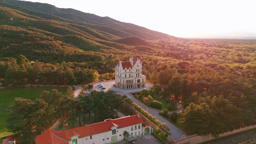Aerial view of a chateau with vineyards at sunset in the spring season in France
